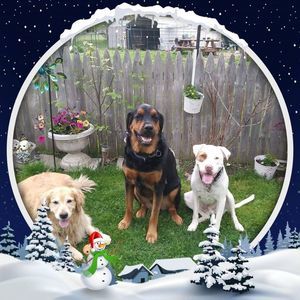 Meet your Posher, Linda